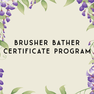 Brusher Bather Certificate Program