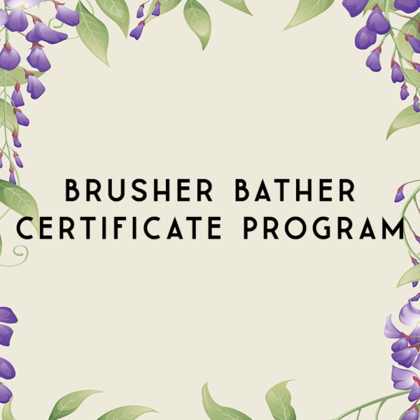 Brusher Bather Certificate Program