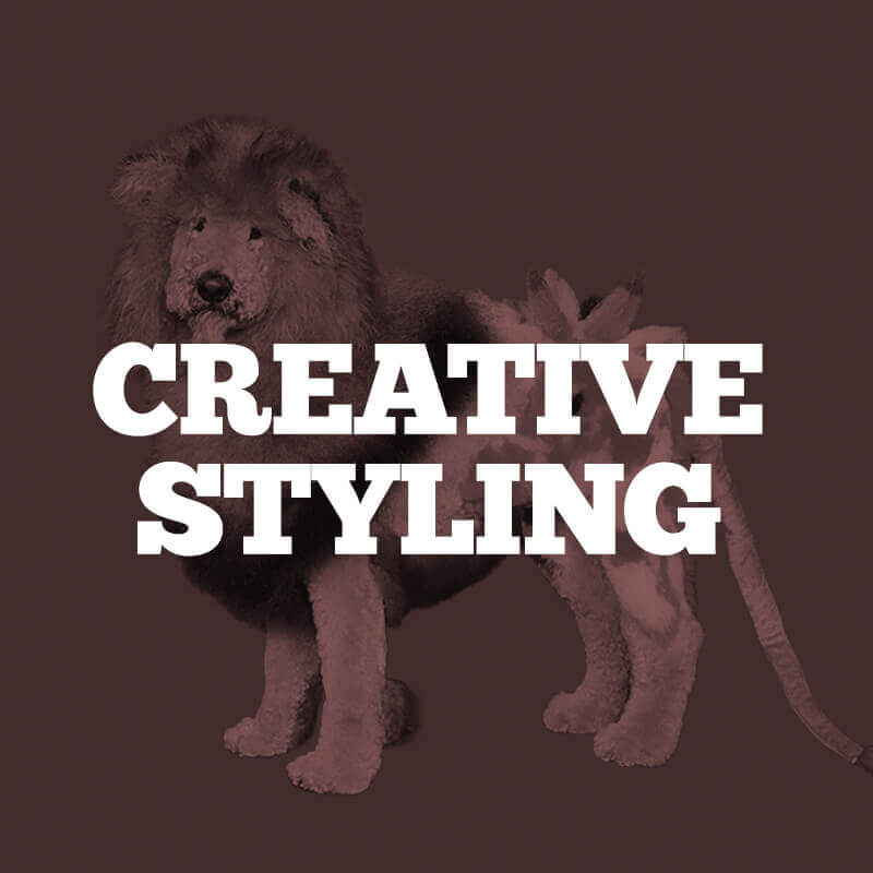 Creative Styling Contest
