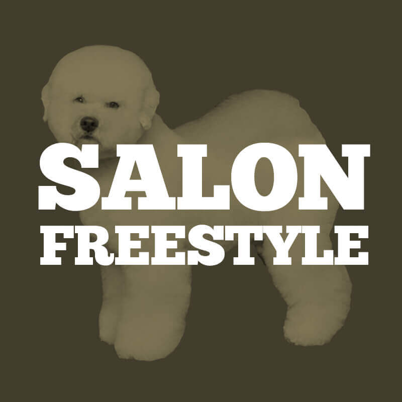 Salon/Freestyle Contest
