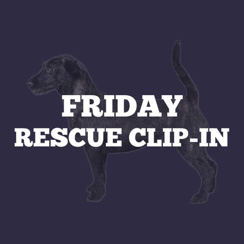 Friday Rescue Clip-In Contest
