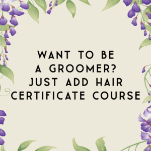 Want to Be a Groomer? Just Add Hair Certificate Course
