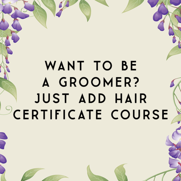 Want to Be a Groomer? Just Add Hair Certificate Course