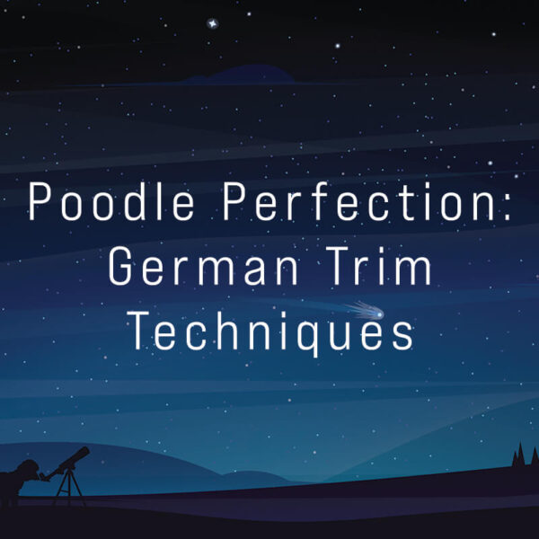 Poodle Perfection: German Trim Techniques