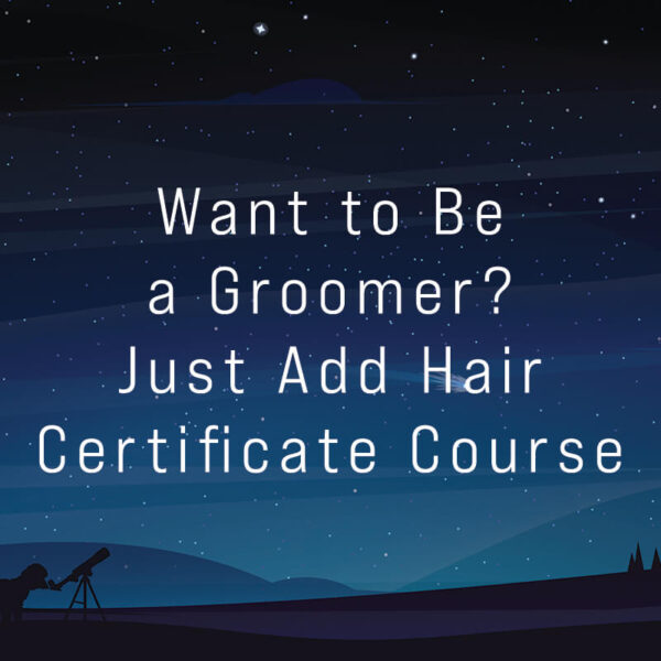 Want to Be a Groomer? Just Add Hair Certificate Course