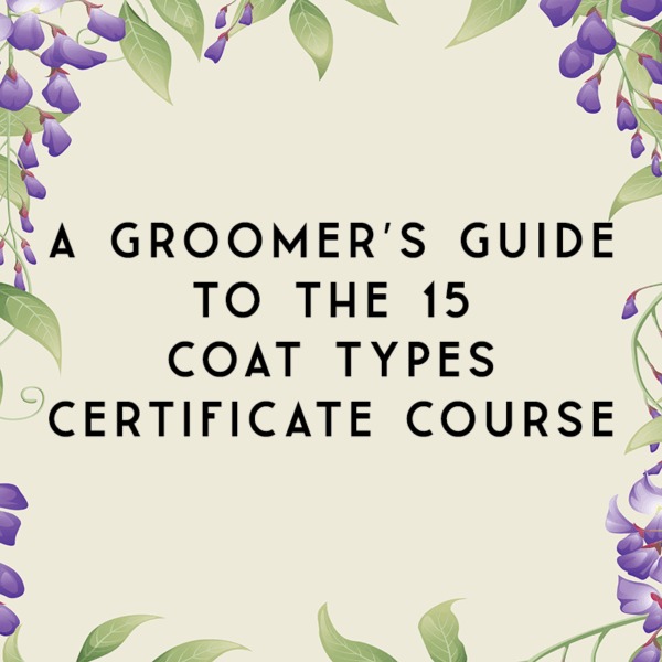 A Groomer’s Guide to the 15 Coat Types Certificate Course