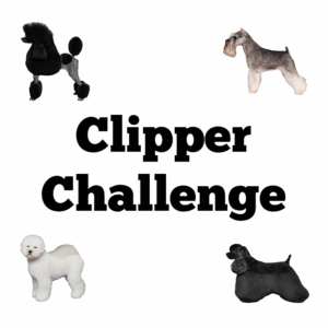 Clipper Challenge