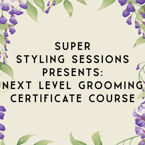 Super Styling Sessions Presents: Next Level Grooming Certificate Course